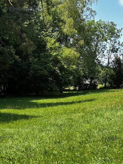 Terrain à BRIE-ET-ANGONNES