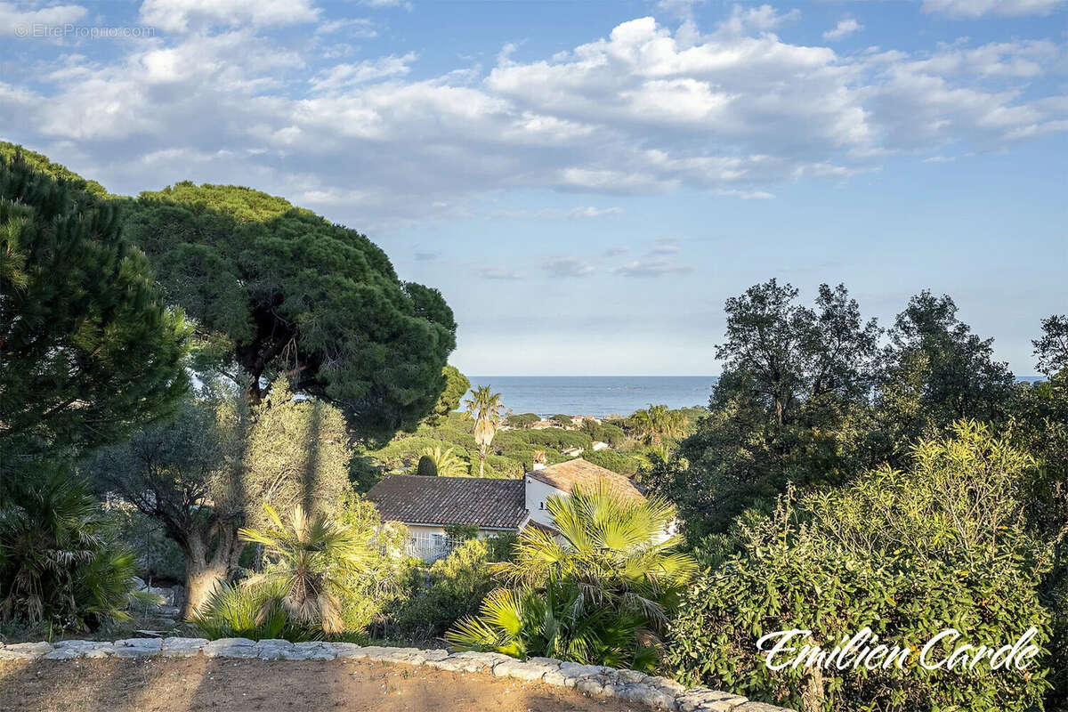 Terrain à SAINTE-MAXIME