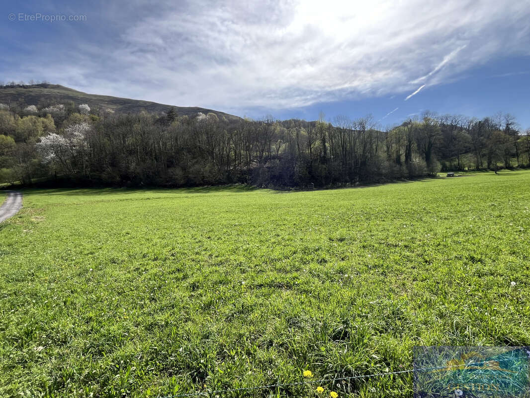 Terrain à CHEUST