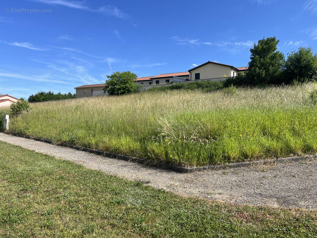 Terrain à SAINT-ALBAIN