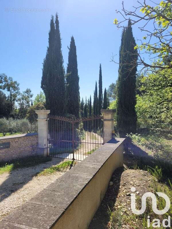 Photo 8 - Maison à L&#039;ISLE-SUR-LA-SORGUE
