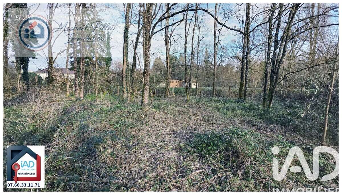 Photo 3 - Terrain à ALLOGNY