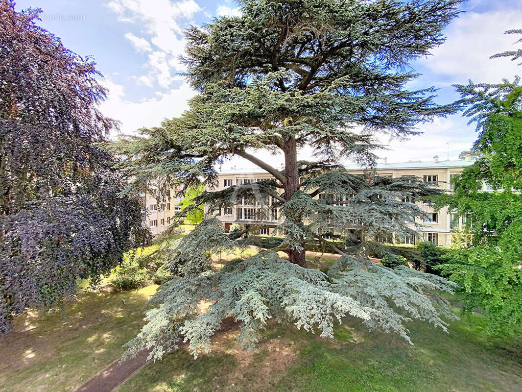 Appartement à SAINT-GERMAIN-EN-LAYE