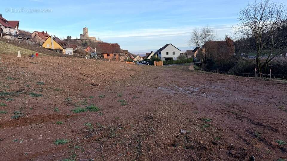 Terrain à KATZENTHAL