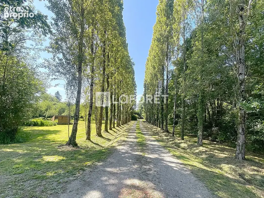 Étang 2 Hectares avec chalet, bois et dépendances BRIOUZE - Normandie - photo 15