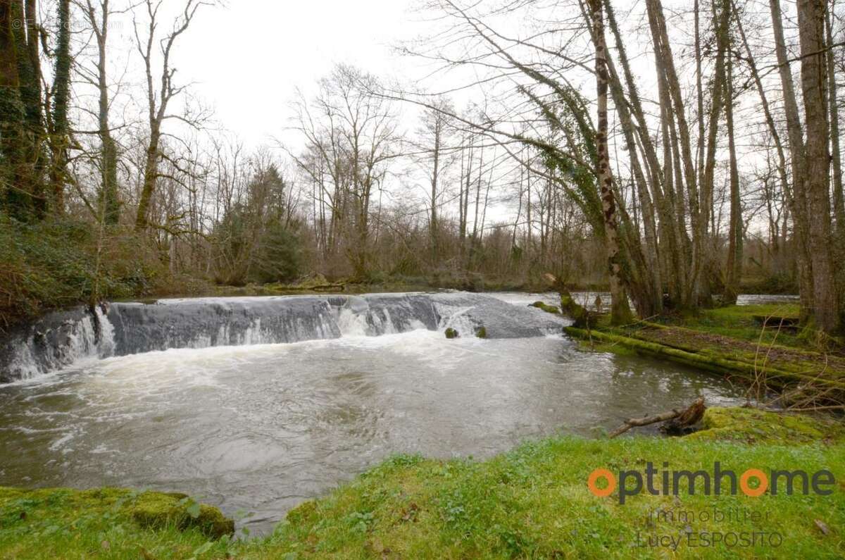 Propriété de 4 chambres au bord de la rivière à vendre - photo 55