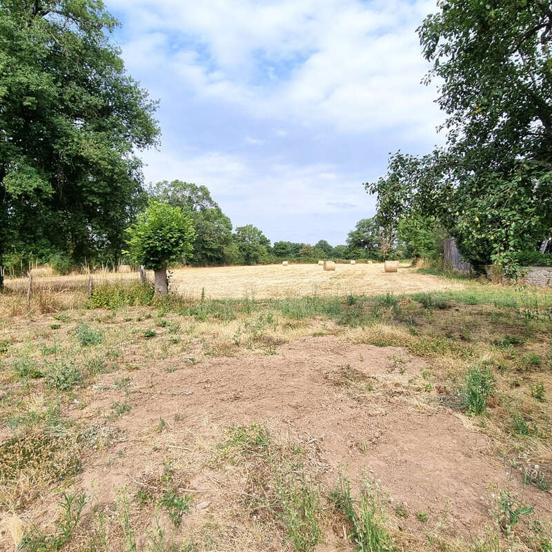 Maison à SAINTE-SEVERE-SUR-INDRE