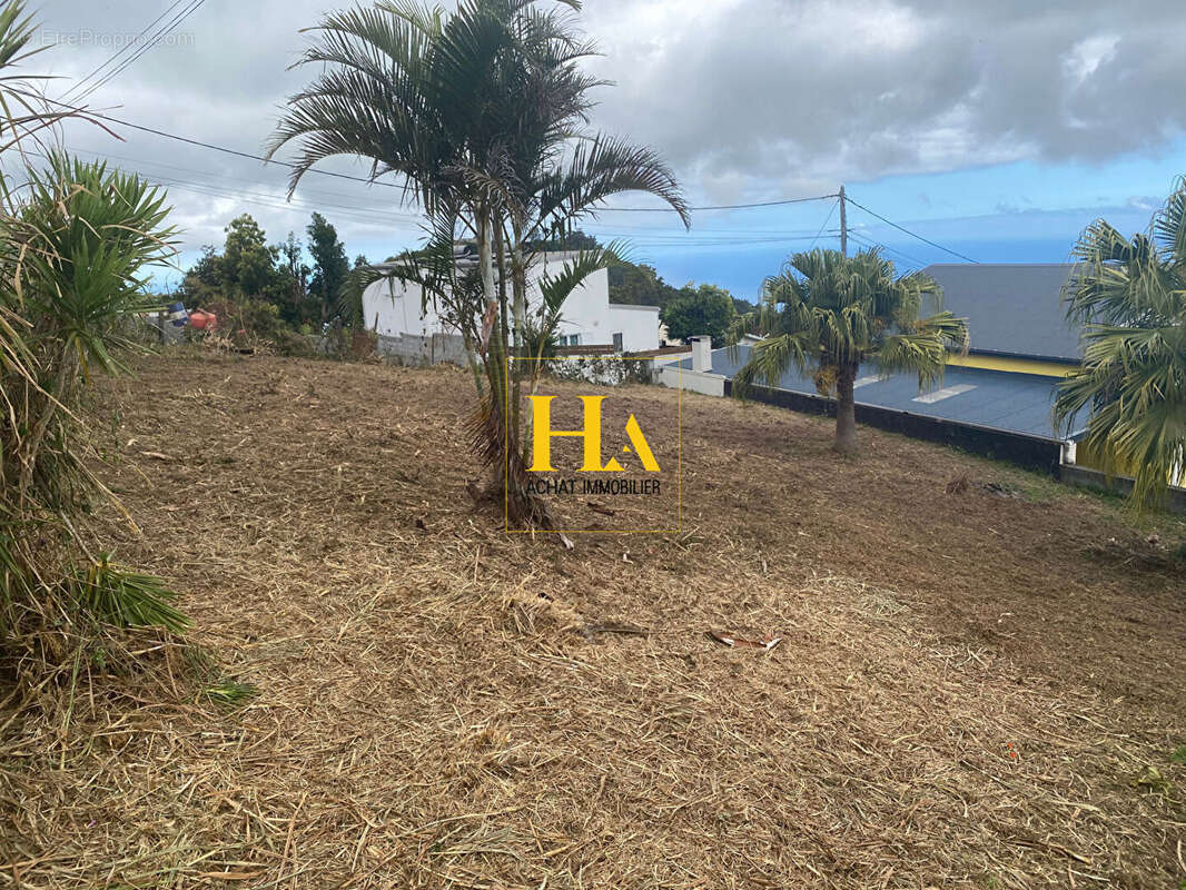 Terrain à SAINT-LEU