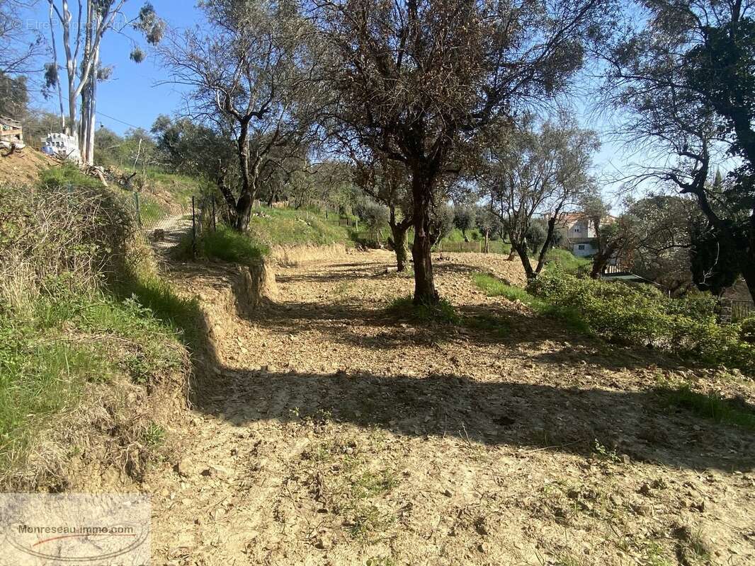 Terrain à BERRE-LES-ALPES