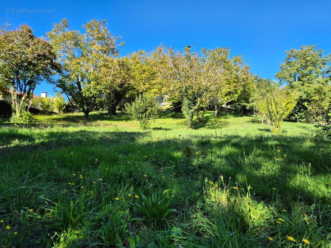 Terrain à CASTELNAU-D'ESTRETEFONDS