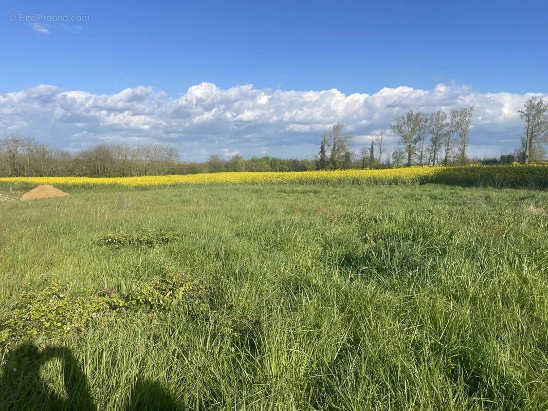 Terrain à FOURQUES-SUR-GARONNE