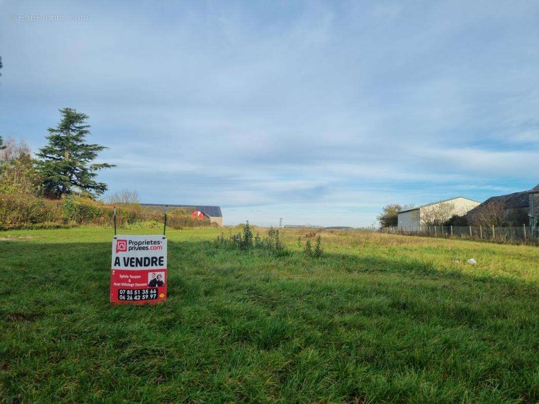 Terrain à ASCHERES-LE-MARCHE