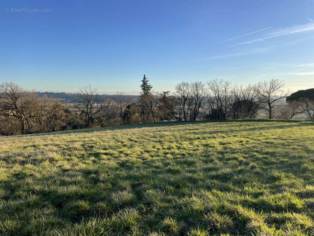 Terrain à Bâtir à Quint Fonsegrives (31130) - photo 3