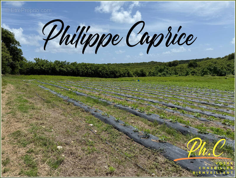 Terrain à LE VAUCLIN