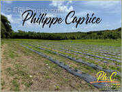 Terrain à LE VAUCLIN