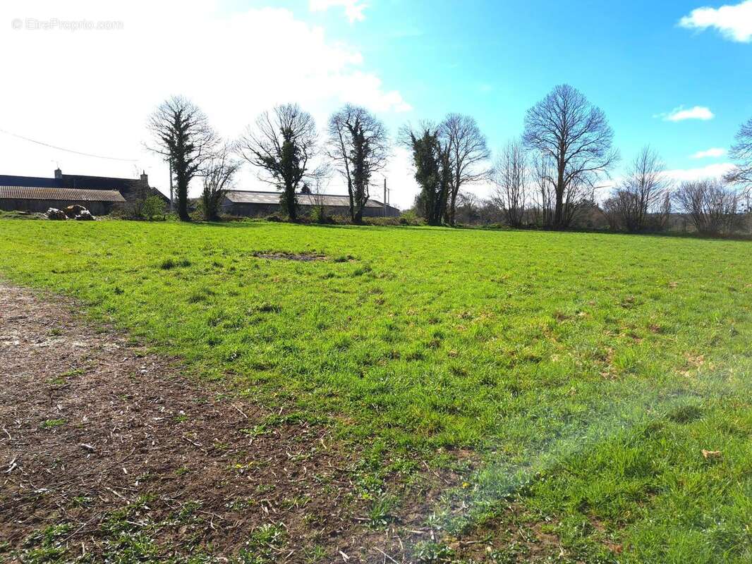 Terrain 5740 m² à Parce  - photo 2