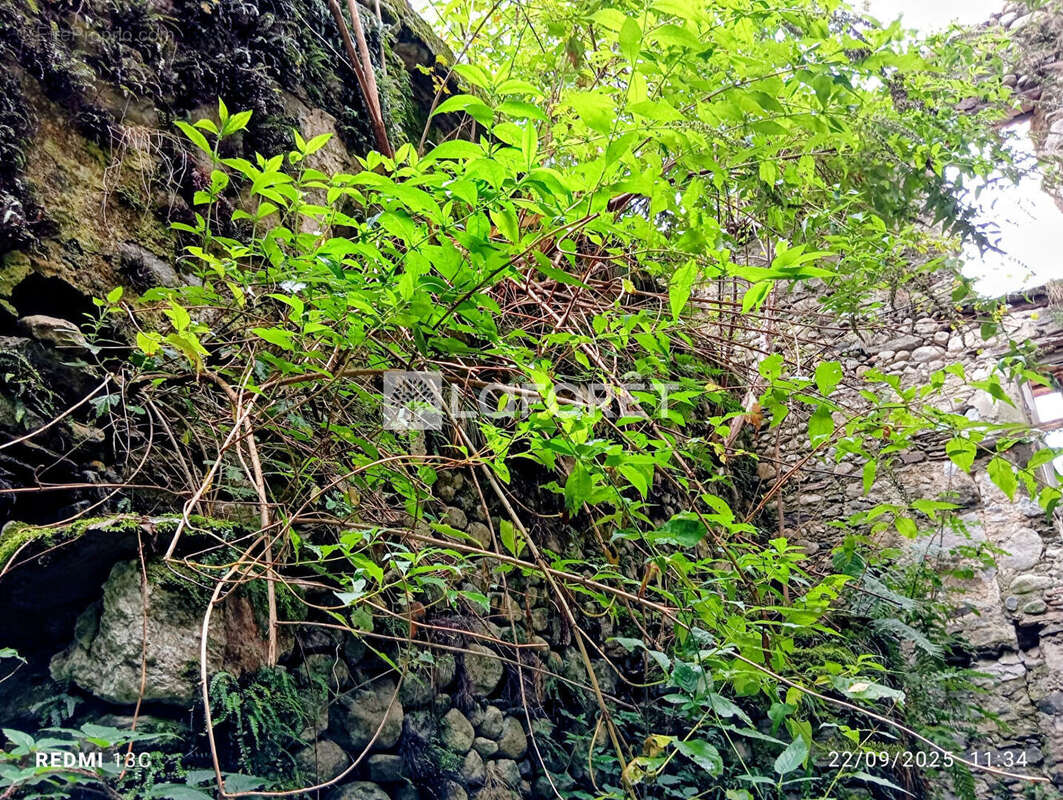 Terrain à PRATS-DE-MOLLO-LA-PRESTE