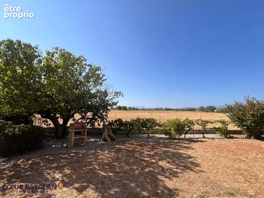 À vendre - thuir - villa plain-pied 600m2 de terrain vue canigou - photo 11