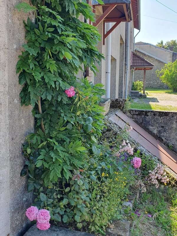 Maison à GRANDRUPT-DE-BAINS