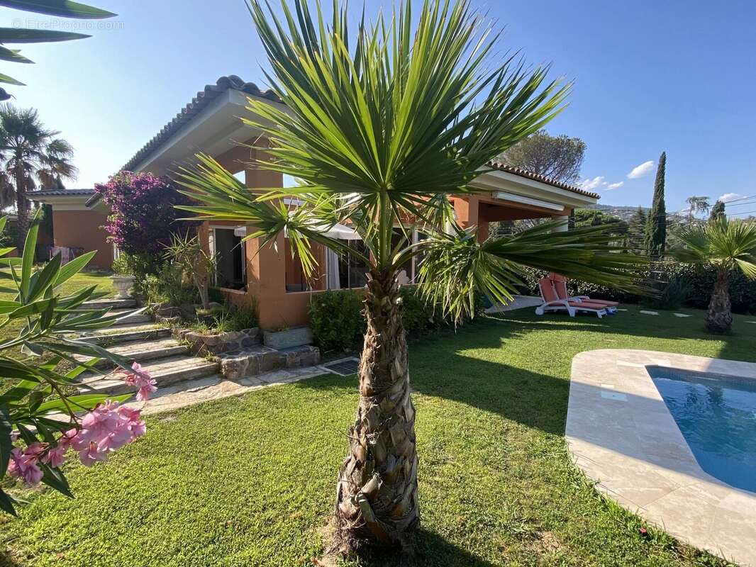 Maison à MANDELIEU-LA-NAPOULE