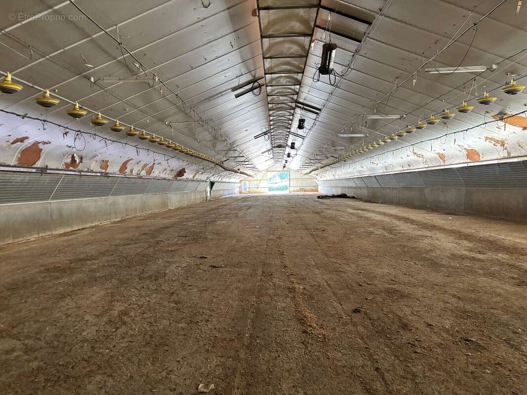 Commerce 1200 m² à Ouroux  - photo 3