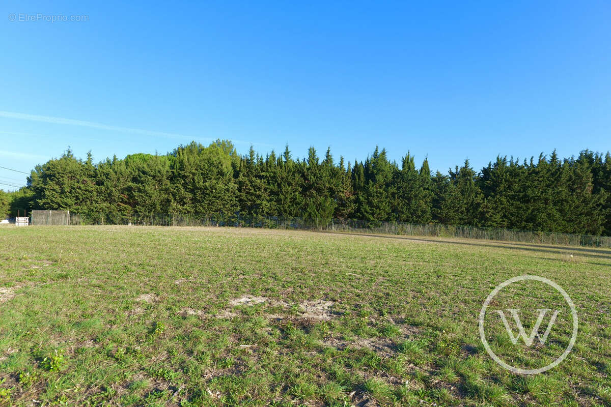 Terrain à VILLENEUVE-LES-MONTREAL