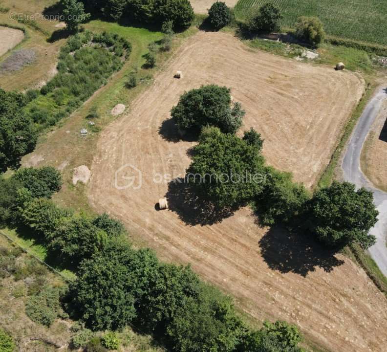 Terrain à SAINT-AUBIN-DU-CORMIER