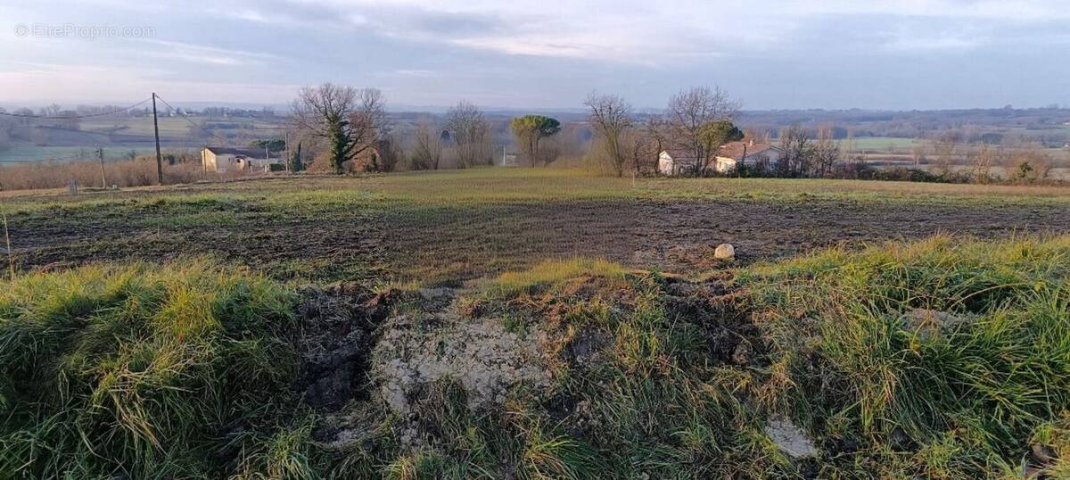 Photo 1 - Terrain à ISSIGEAC
