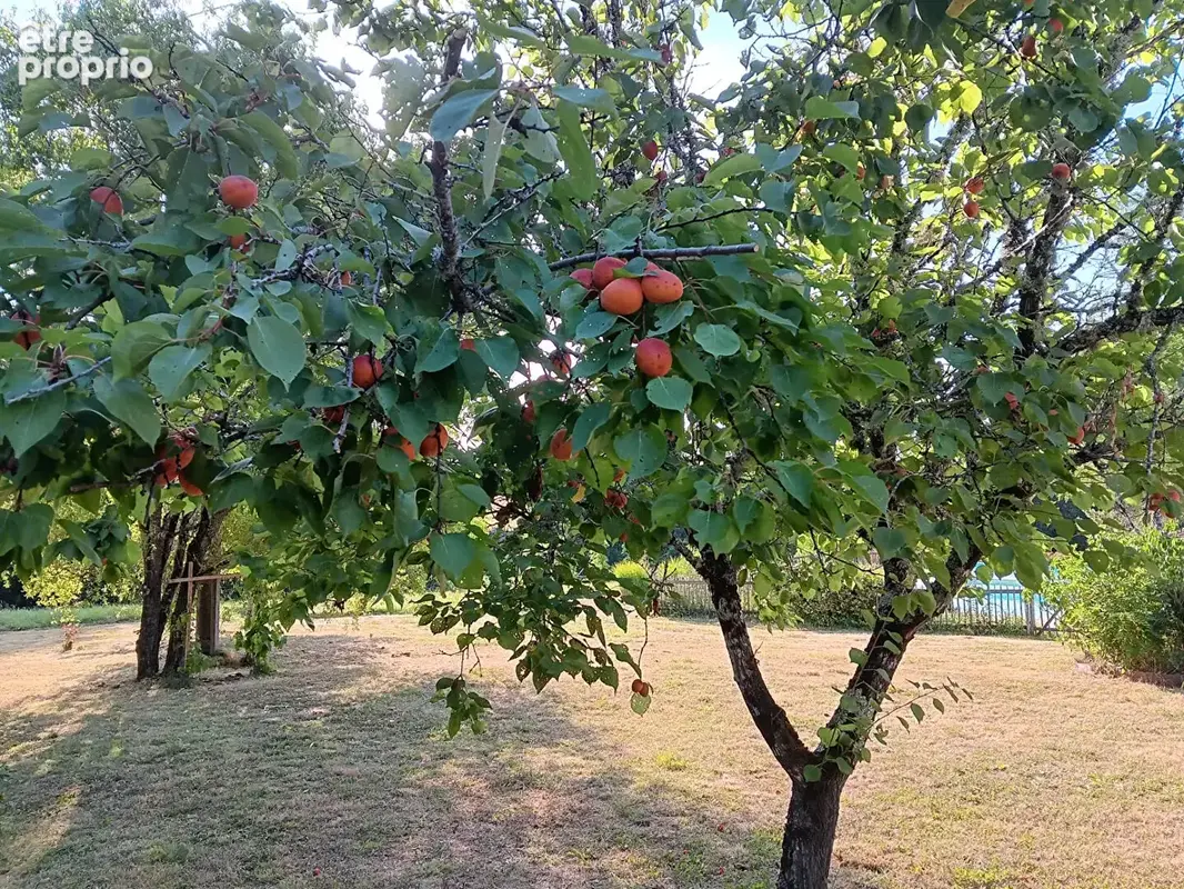 Périgourdine de charme - photo 13