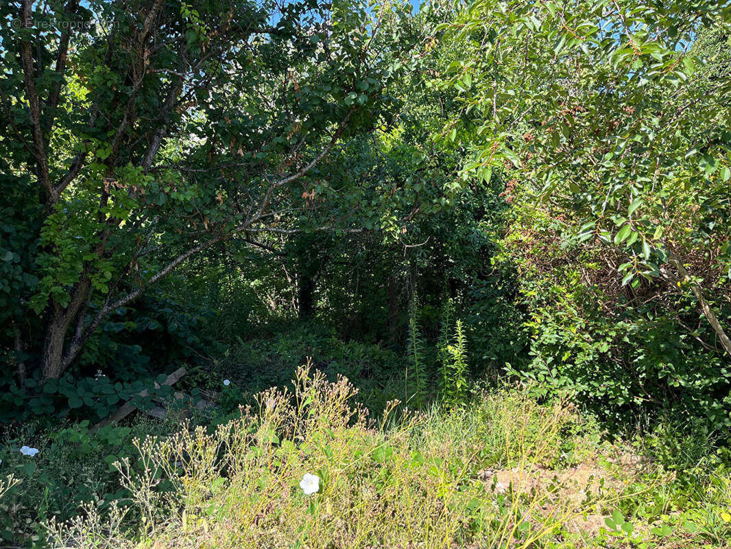 Terrain à vendre 357 m² à Antony - photo 5