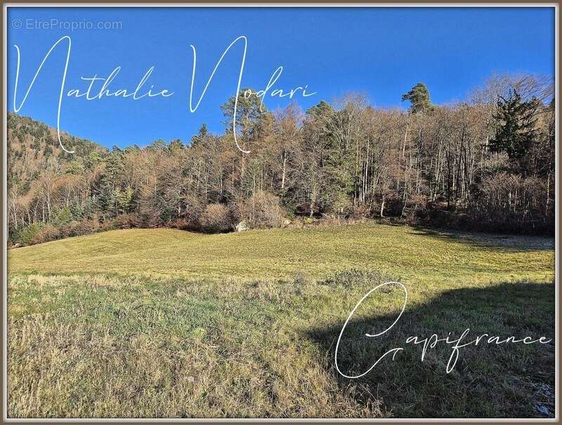 Maison à FRESSE-SUR-MOSELLE