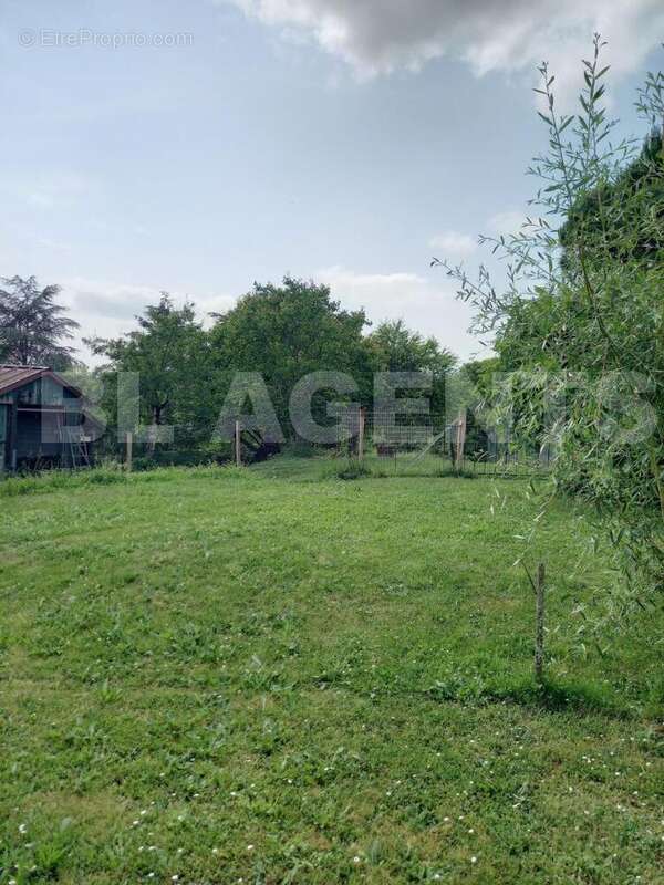 exterieur 2 mombrier - Maison à MOMBRIER