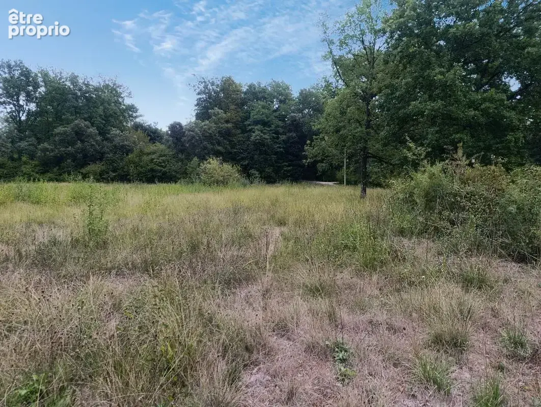 Terrain de 1500 m2 à Marcillac Saint Quentin - un cadre privilégié - photo 2