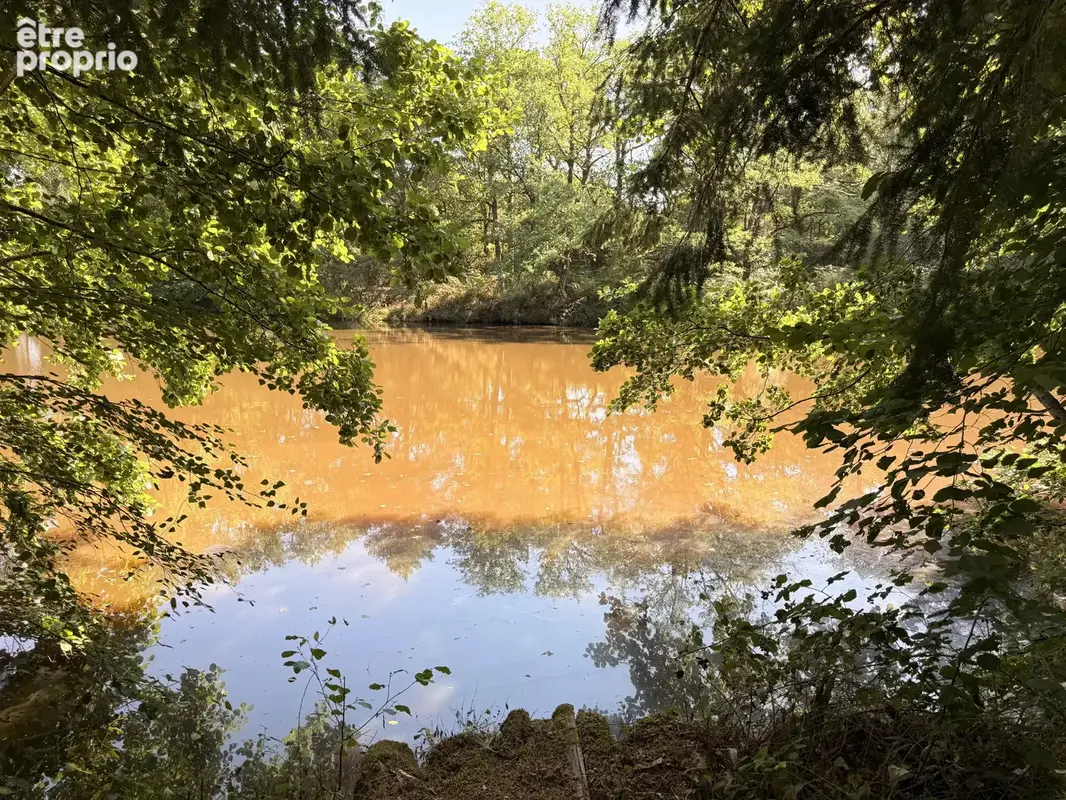 Étang privé de loisirs et de pêche avec bois proche de Montrollet - photo 8