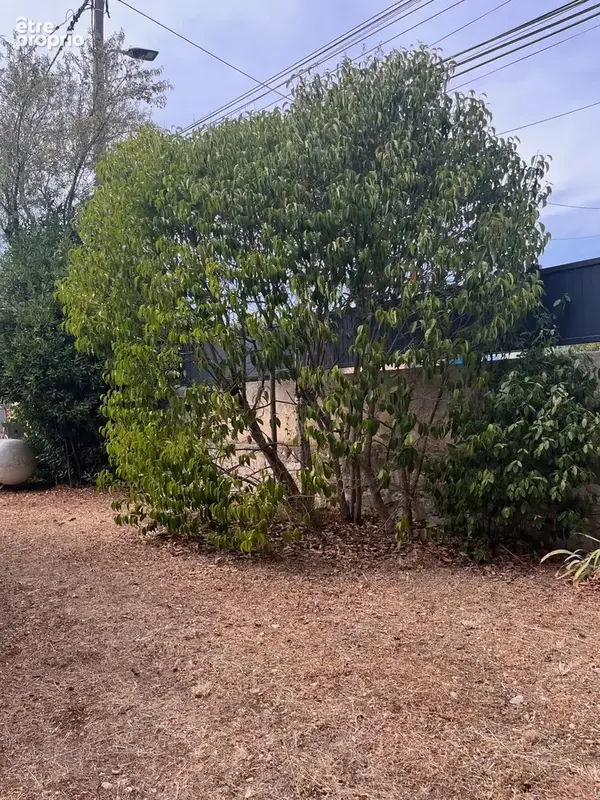 Maison allauch - type 3/4 - 112m2 - photo 16