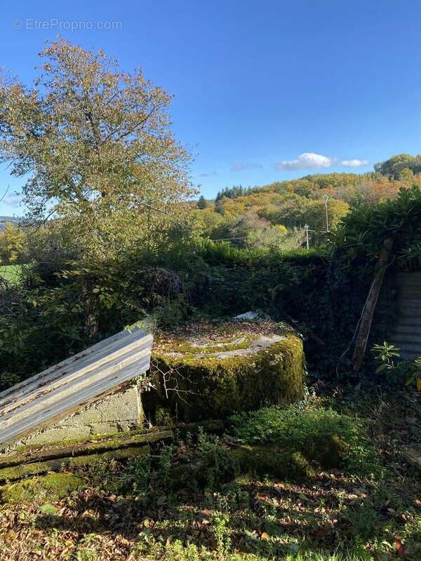 puits - Maison à EYMOUTIERS