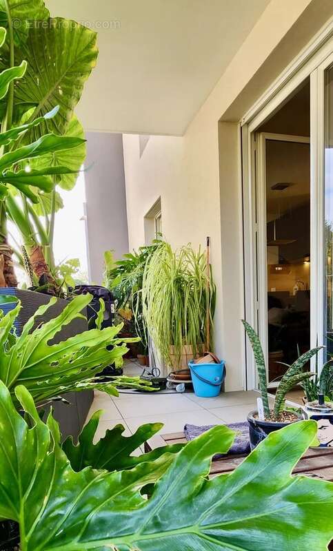 Appartement à CASTELNAU-LE-LEZ