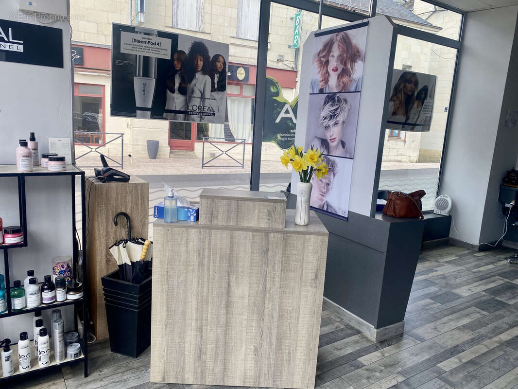 Autre à CHOUZE-SUR-LOIRE