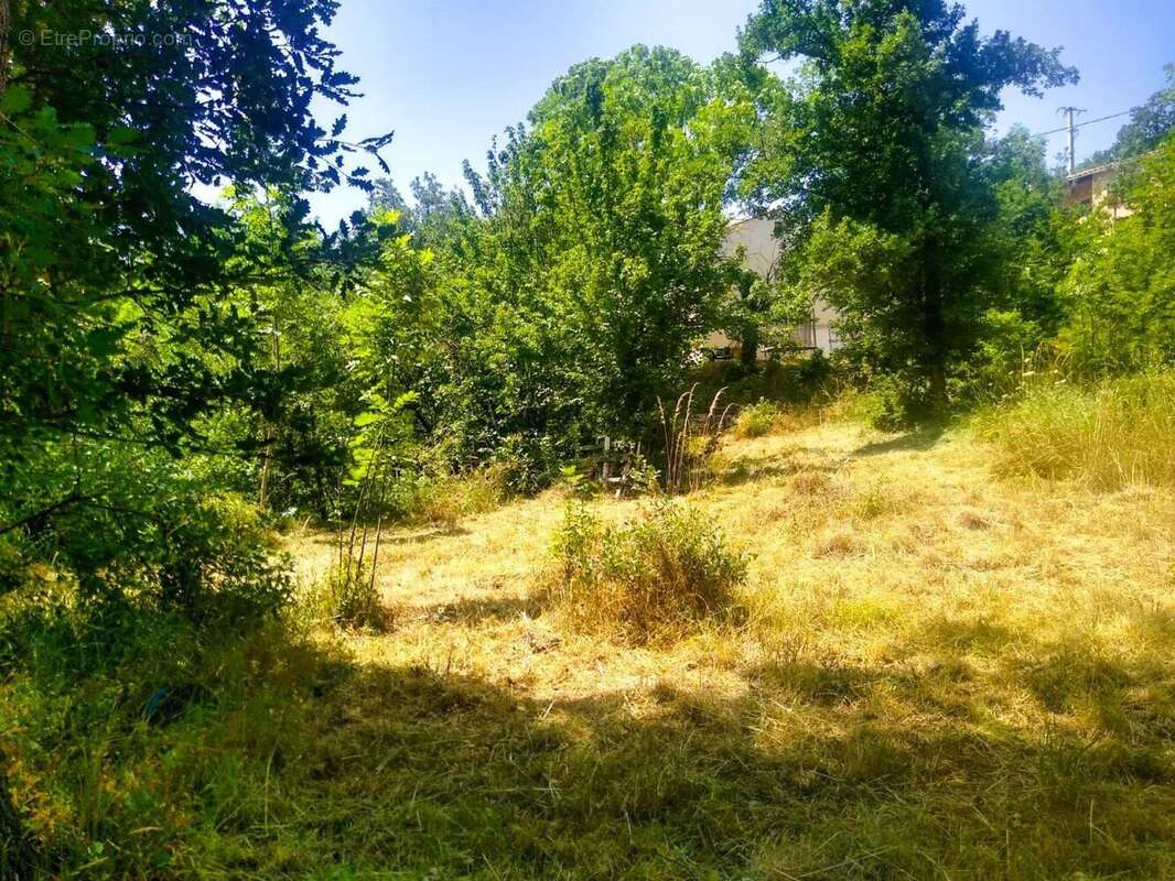 Photo 3 - Terrain à RIA-SIRACH