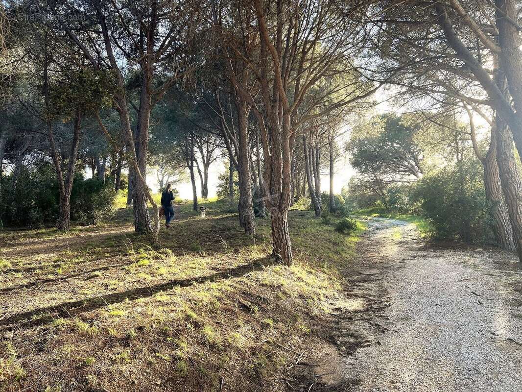 Appartement à LE LAVANDOU