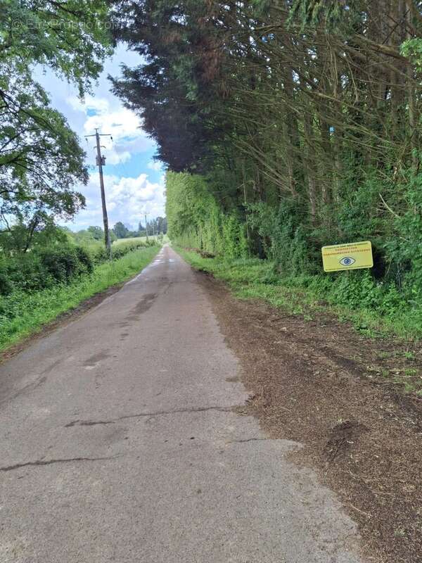 À vendre longère terrain 1,8 ha St-Malo-en-Donziois - photo 32