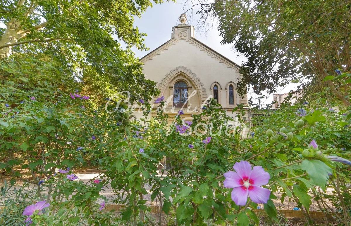 Sublime propriete, maison de maitre + gites, domaine de 11 hectares, narbonne - photo 3