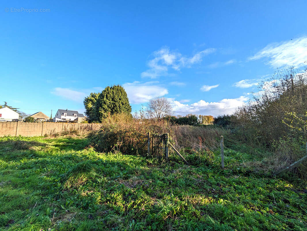 Terrain à ROZ-SUR-COUESNON