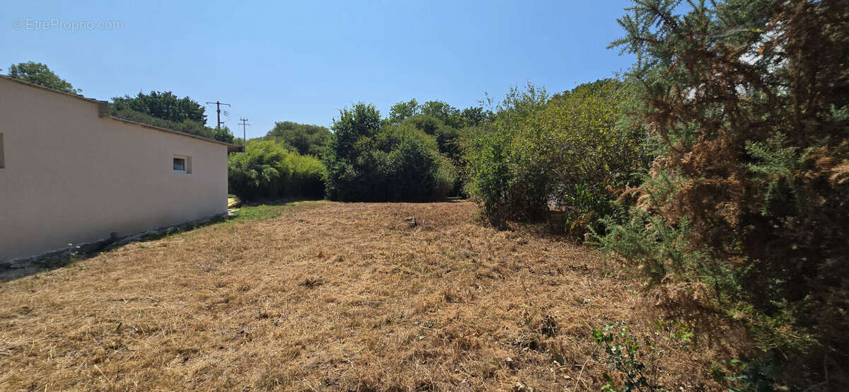 Combrit, joli terrain à bâtir de 1 000 m², bourg à pied, plage à vélo ! - photo 3