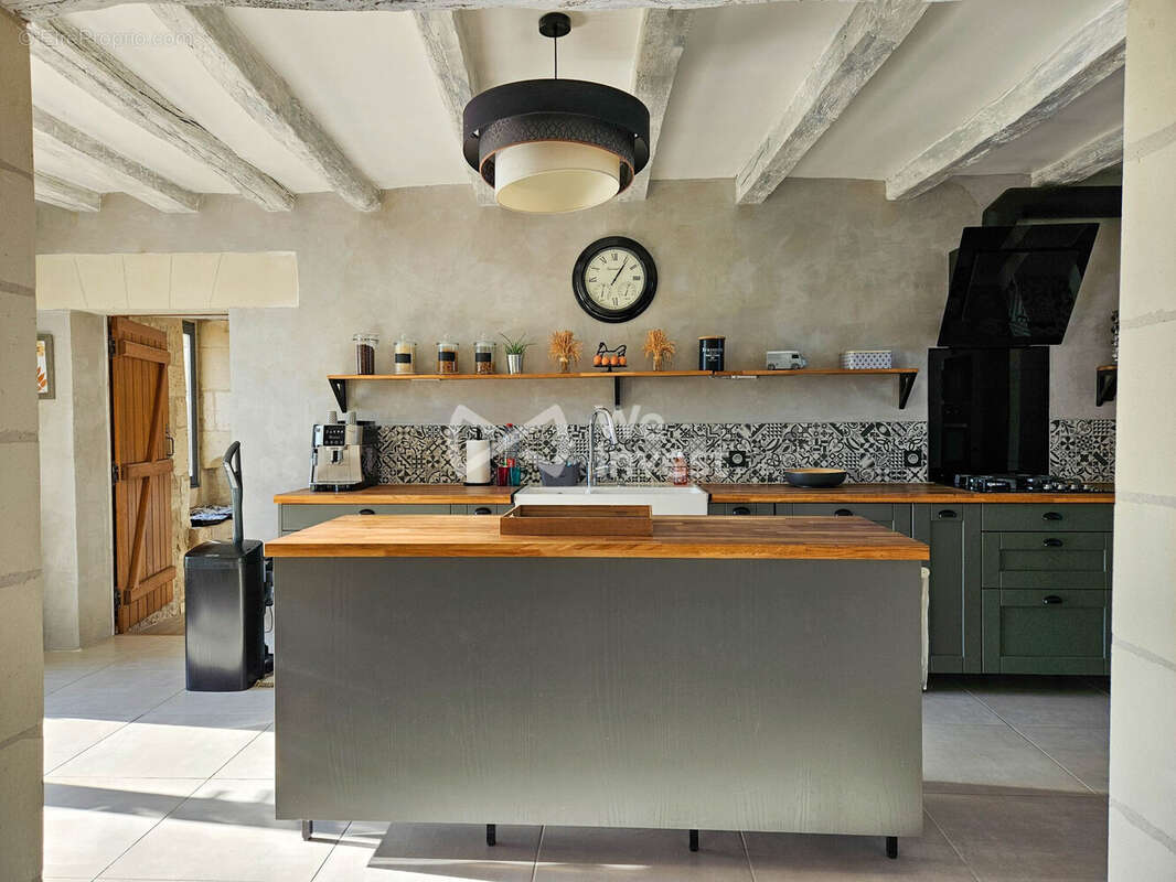 Maison 12 pièces 315 m² à vendre à Richelieu (37120) - photo 5