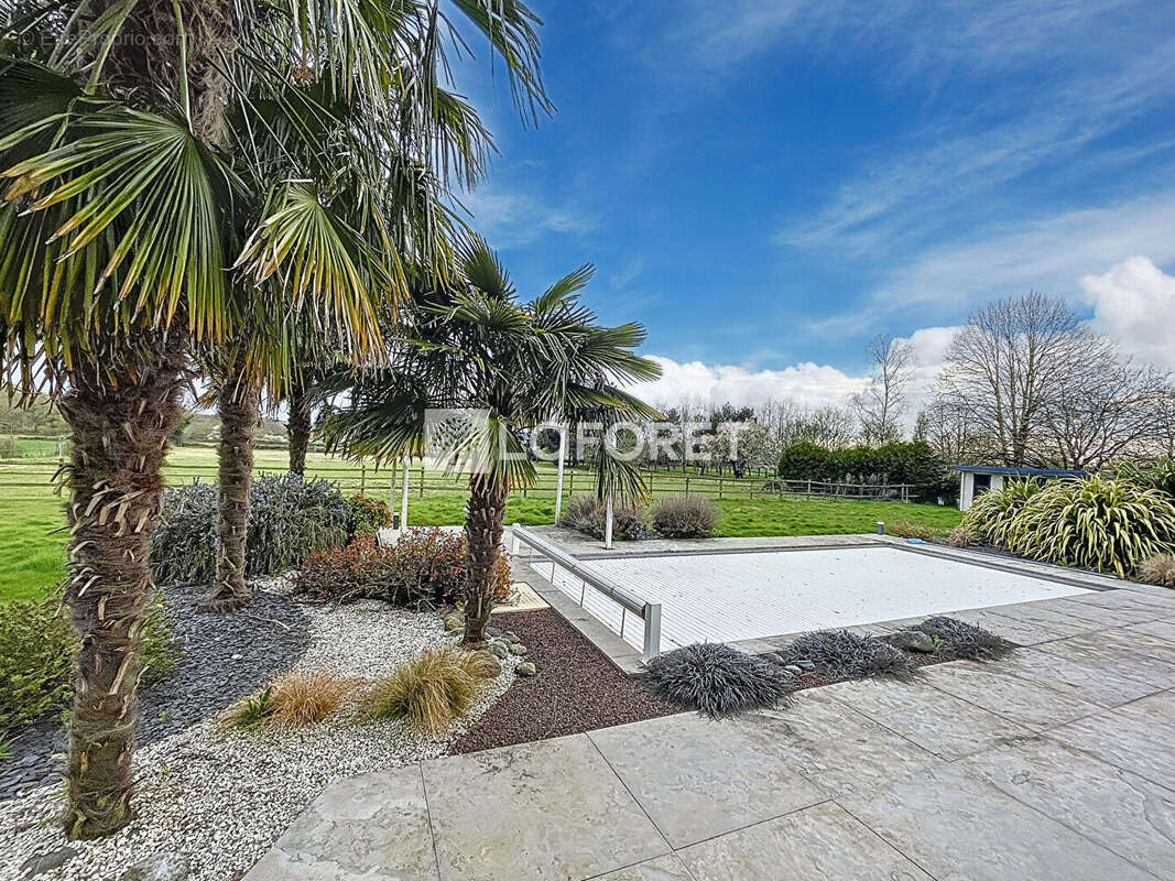 Maison à SAINTE-MARIE