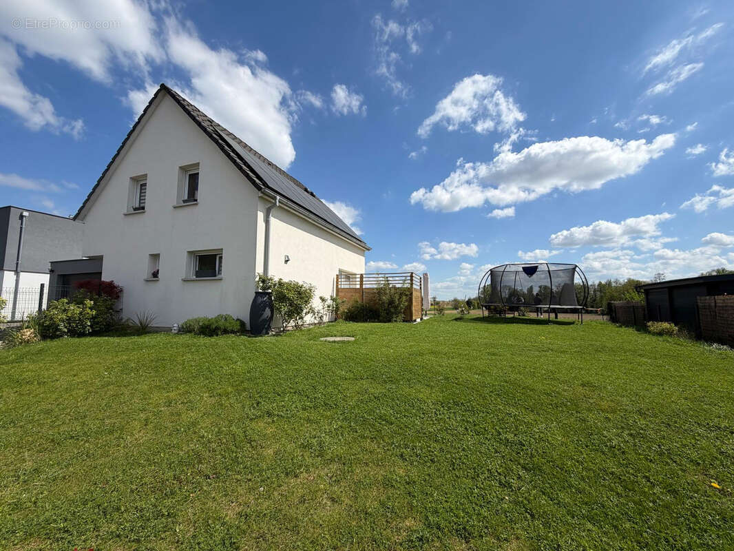 Village à 2 mn de Sierentz, maison 5 pièces avec jardin , garage et sous sol - photo 2