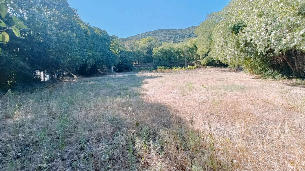 Terrain à CESSENON-SUR-ORB