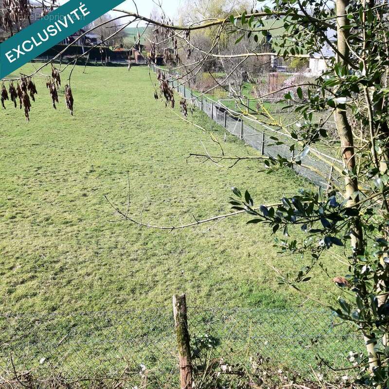 Photo 5 - Terrain à AUZOUVILLE-SUR-RY