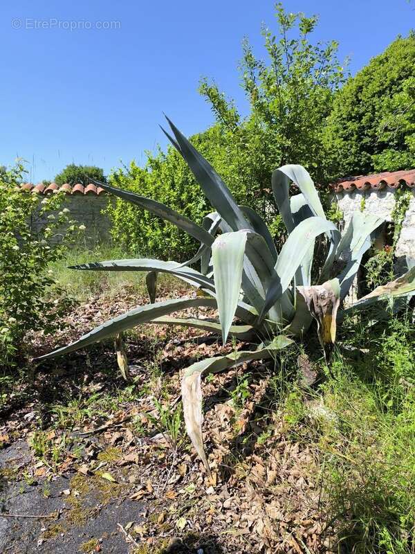 Maison à COUTURE-D&#039;ARGENSON